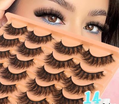 lash 2